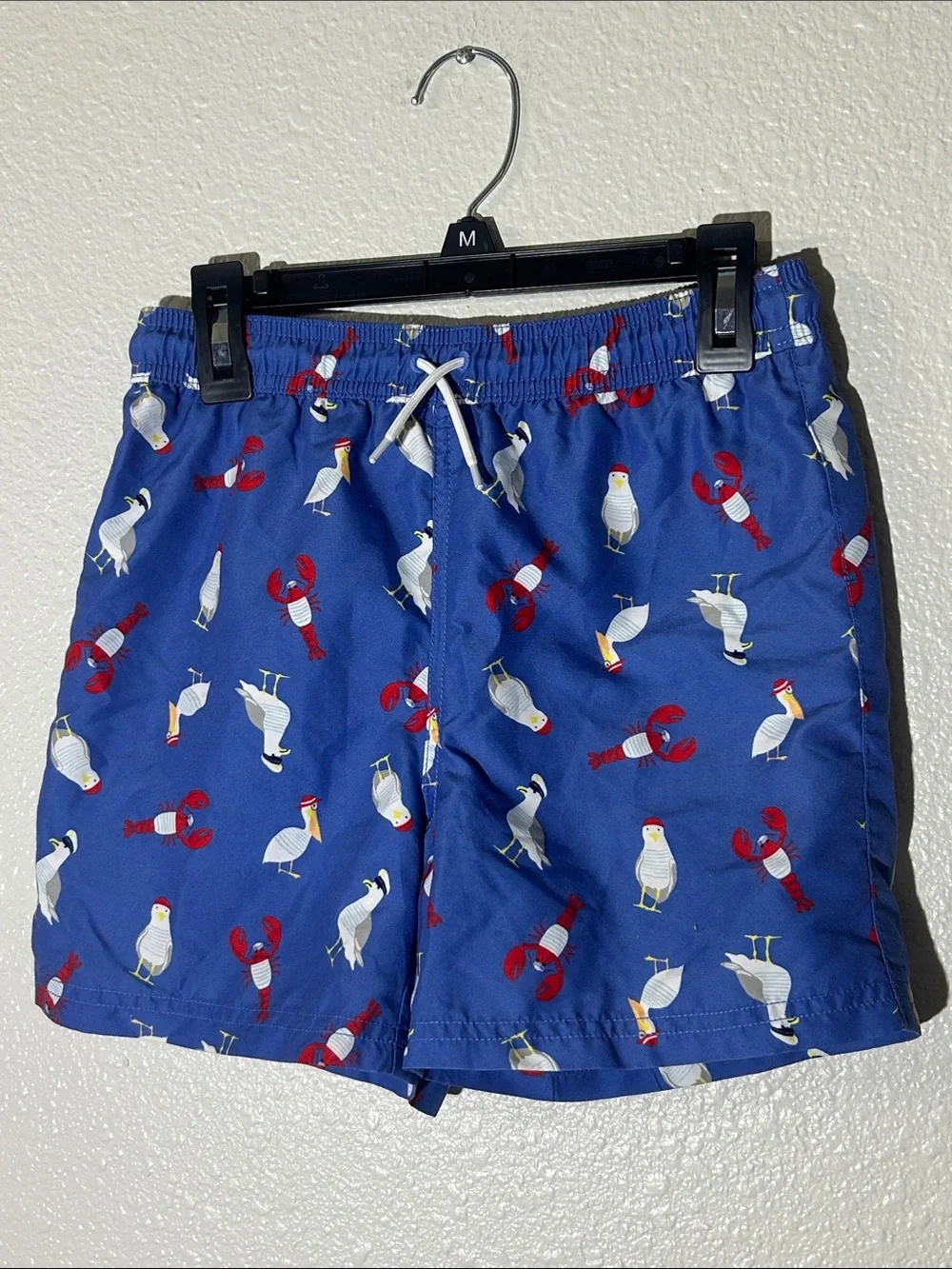 Boy’s Jamie and Jack Blue Seagull & Lobster Swim Shorts